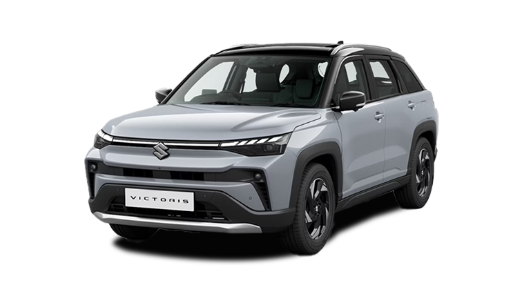 Splendid Silver With Bluish Black Roof